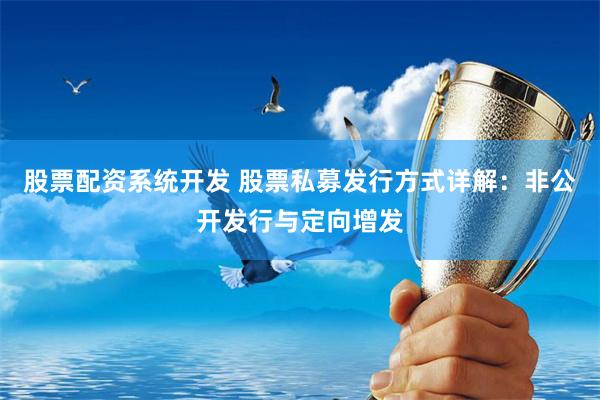 股票配资系统开发 股票私募发行方式详解：非公开发行与定向增发