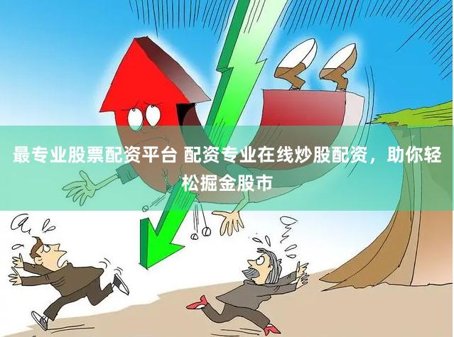 最专业股票配资平台 配资专业在线炒股配资，助你轻松掘金股市