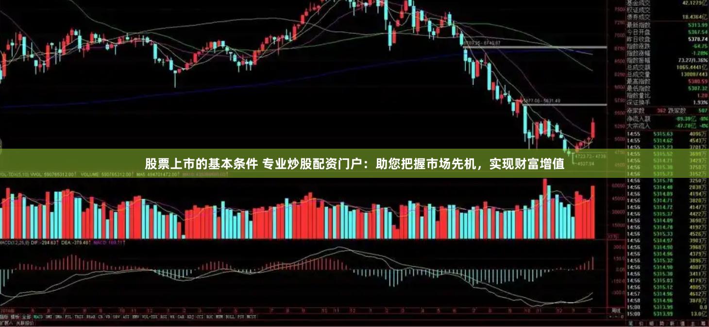 股票上市的基本条件 专业炒股配资门户:助您把握市场先机,实现财富增值