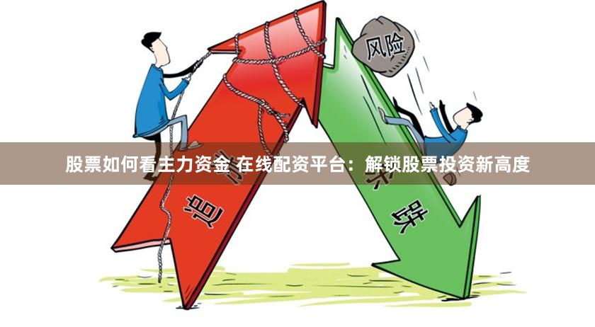 股票如何看主力资金 在线配资平台：解锁股票投资新高度