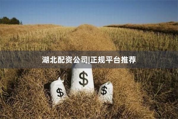 湖北配资公司|正规平台推荐