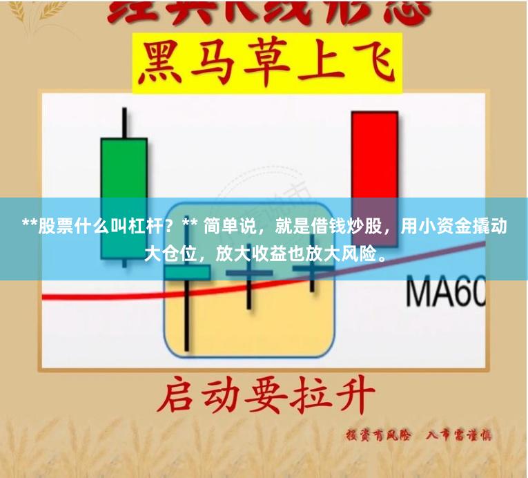 **股票什么叫杠杆?** 简单说,就是借钱炒股,用小资金撬动大仓位,放大收益也放大风险。