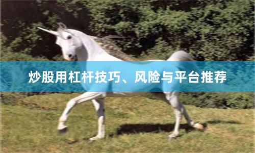 炒股用杠杆技巧、风险与平台推荐